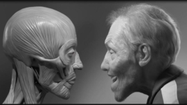 Facial Anatomy & Character Portrait for Blender Artistsracter Portrait for Blender Artists