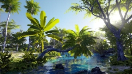 Unreal Engine – 3D-Scanned, Photo-Realistic Mauritius Asset Pack