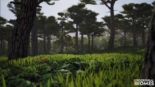 Unreal Engine – Procedural Biomes 5.1