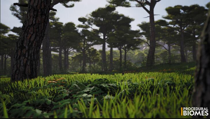 Unreal Engine – Procedural Biomes 5.1