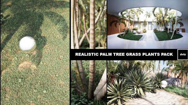 Unreal Engine – REALISTIC PALM TREE GRASS PLANTS