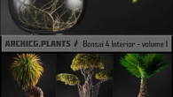 ArchiCG-Plants Bonsai 4 Interior Volume 1