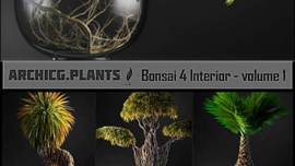 ArchiCG-Plants Bonsai 4 Interior Volume 1