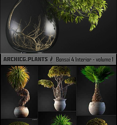 ArchiCG-Plants Bonsai 4 Interior Volume 1