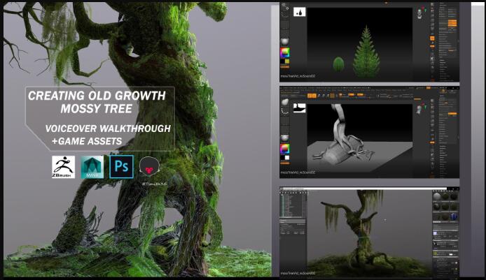 Creating Old Growth Mossy Tree Tutorial and Game Assets