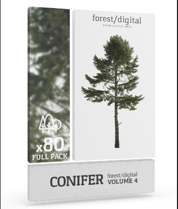 ForestDigital vol. 4 - conifer cutout trees