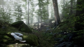 Unreal Engine - Forest - Environment Set 5.1