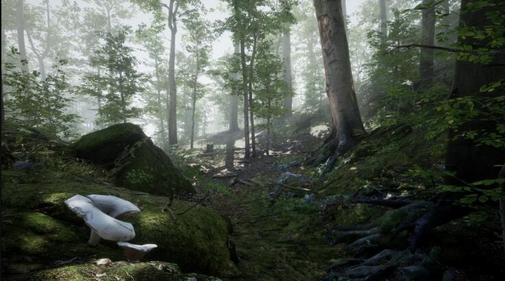 Unreal Engine - Forest - Environment Set 5.1