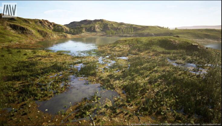 Unreal Engine – MW Meadow Wetlands Landscape