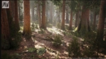 Unreal Engine – MW Mountain Redwood Forest Biome