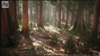 Unreal Engine – MW Mountain Redwood Forest Biome